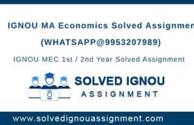 MA Economics Ignou Assignment