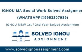 MSW IGNOU Assignment