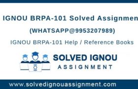 BRPA101 Assignment